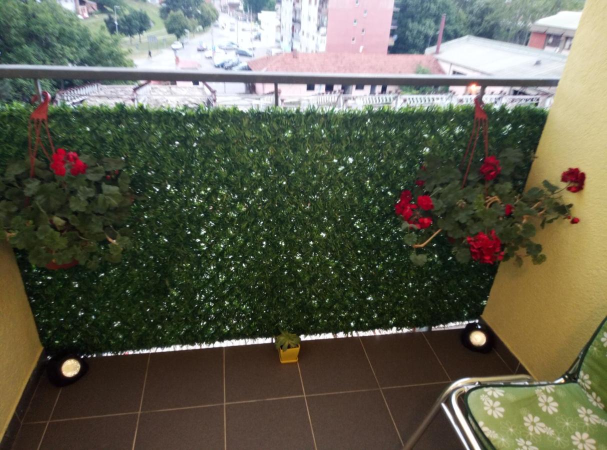 Emili Apartman Jagodina Kültér fotó